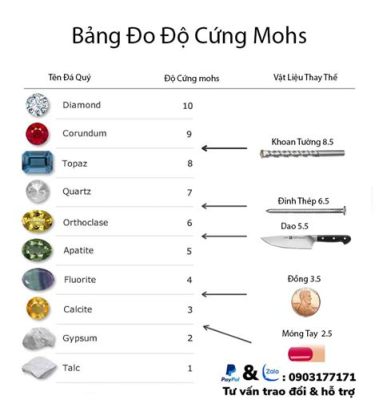  Vỏ Gai - Con vật có mai cứng như đá và lối sống bí ẩn của đại dương sâu thẳm!